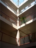 T2 à la location